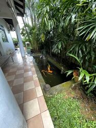 Orchid Village (D11), Semi-Detached #545207781